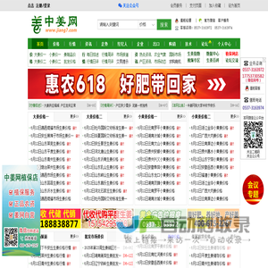 中姜网_生姜价格,生姜行情,生姜供求,大姜价格行情,生姜种植技术等信息平台