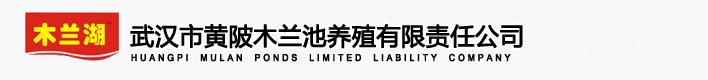 贷款平台哪个好下款